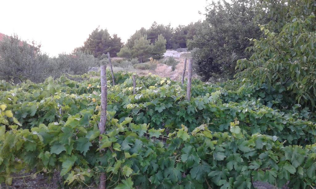 Tor Holiday House Βίλα Kaštela Εξωτερικό φωτογραφία